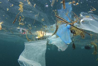Plastic Pollution Image