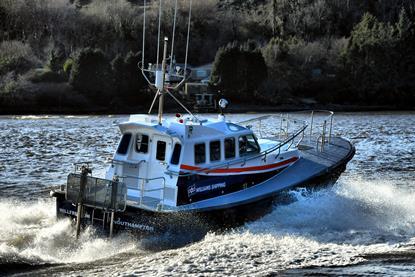 Willfreedom 5 (1) (2) (2) (1)