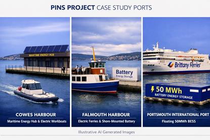 PINS AI composite Final Report Case Studies