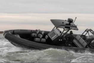 Gemini 880 RIB