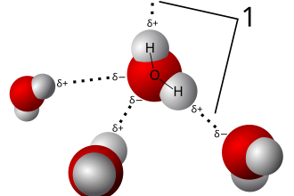 3D_model_hydrogen_bonds_in_water.svgz