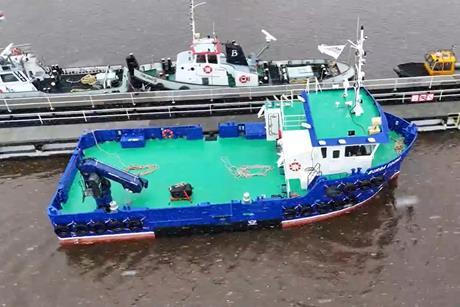 Screenshot 2026-01-29 184524