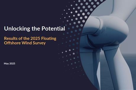 The image shows the front page of the 2025 Floating Offshore Wind Survey