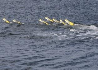 Aquabotix swarmdiver sales