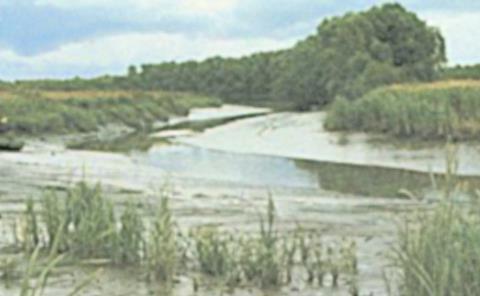 Sediments, an integral part of marine ecosystems, are defined as Main Pollutants under the Water Framework Directive.