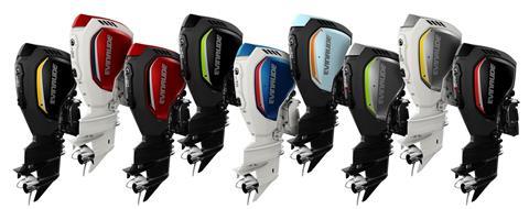 Evinrude claims its E-TEC engines are the least polluting engines available on the market