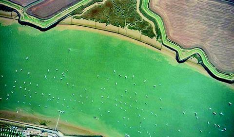 Halcrow is developing a 50 year flood management strategy for the Roach and Crouch estuary.