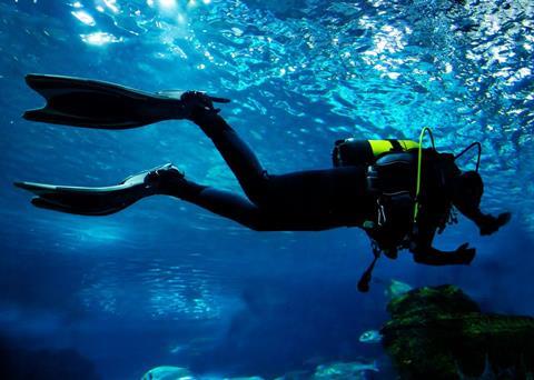 SAES system can ‘hear’ divers